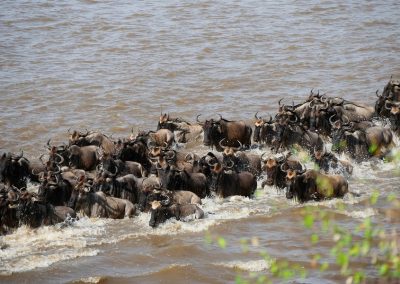 9 Days Great Wildebeest Migration safari Serengeti