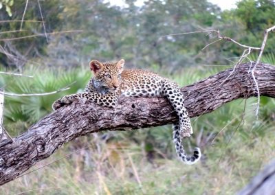 11 Days Tanzania and Zanzibar Tour Experience