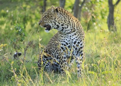 2 Days Safaris To Tarangire and Ngorongoro National Park